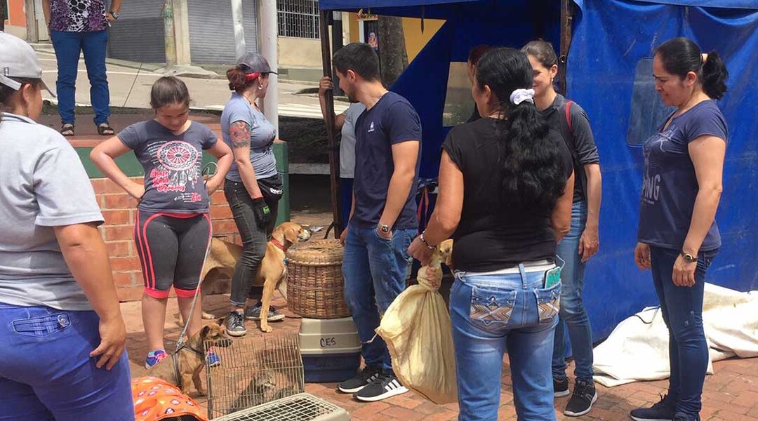 Ellas, las proteccionistas