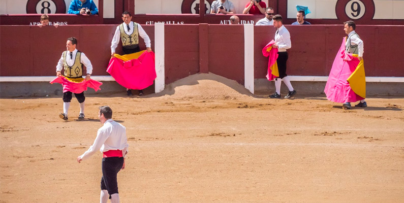 Corridas de toros sí, corridas de toros no