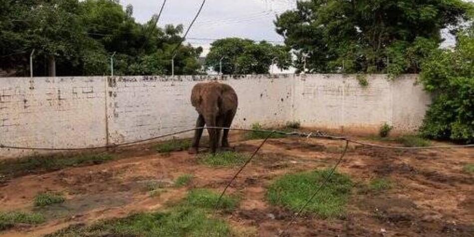 Radicado nuevamente el Proyecto de Ley Chucho